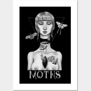 Moths Posters and Art